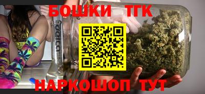 стаф Новокубанск