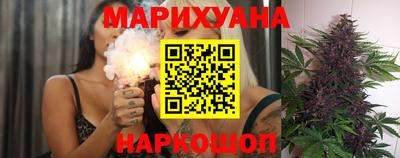стаф Новокубанск