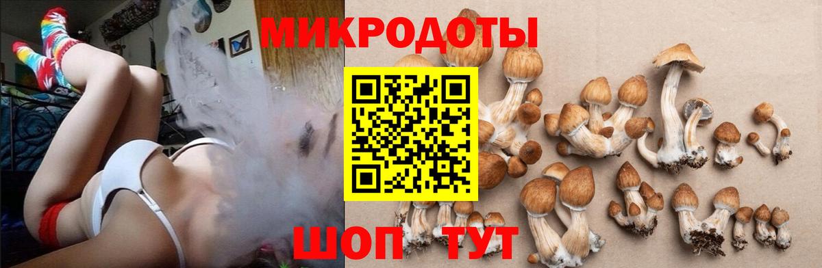 Урюпинск  Псилоцибиновые грибы прущие грибы  Вход с VPN 